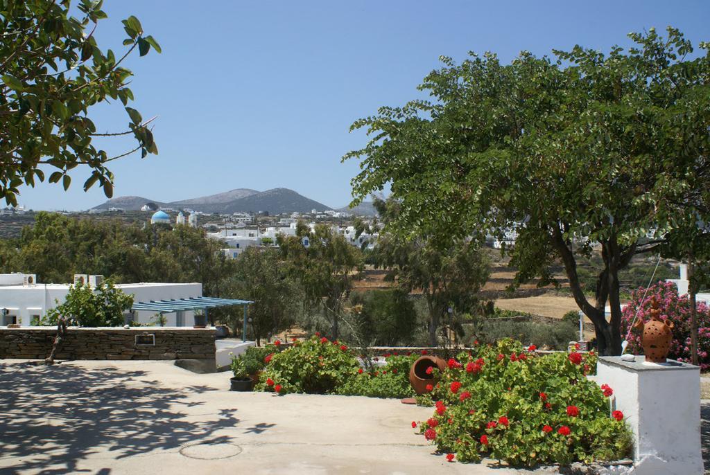 Hotel Themonia à Apollonía Extérieur photo